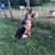 Aretta Rowe's profile image