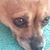 Cathie Lightfoot's profile image