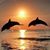 David Goforth's profile image