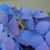 Flo Garetson's profile image