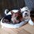 Nina Mac Iver Andry's profile image