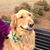 Becky Hyman's profile image