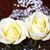 Karen Holmes's profile image
