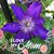 Maclyn McAnelly Acuff's profile image