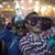 Diego Flores's profile image