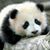 Miko Lumi's profile image