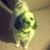 Lisa Mcclanahan's profile image
