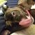 Carrie Carter Roberts's profile image