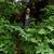 Resa Yelek's profile image