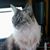 Melissa Manica's profile image