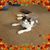 Goldie Hoge's profile image