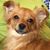 Cora Dickey's profile image