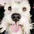 Estefana Gutierrez's profile image