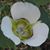 Judi Schwandt's profile image