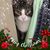 Linda Sims's profile image