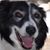 Judy Tzinberg Reynolds's profile image