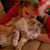 Sarah Edmonds's profile image