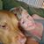 Julie Phelps Semler's profile image
