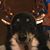 Hodgie Teichmann's profile image