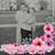 Debbie Becker Knapp's profile image
