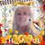 Dot Schieren Rosenthal's profile image