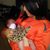 Yesenia Alvarez's profile image