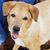 Heather McPherson's profile image