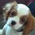 Cathaleen M Ploof's profile image