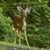 Betty Hawkins's profile image