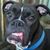 John Miller's profile image