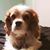 Yvonne DeJacques Boullion's profile image
