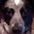 David Sprayberry's profile image