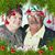 Mary Catherine Salerno's profile image