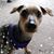 Helen Whitney's profile image