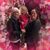 Gretchen McMeekin's profile image