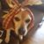 Julie Rodriguez's profile image
