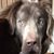 Dan Zeilbeck's profile image