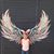 Cara Castilloux Bunting's profile image