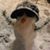 Sylvia Liberty Creviston's profile image