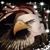 Dawn Wazny's profile image