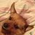 Rebecca Muchler Marshall's profile image