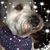 Mary Jo Schultz Gaff's profile image