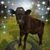 Diane Caldwell's profile image