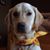 Mark Glissendorf's profile image