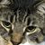 Darlene LeMasson's profile image