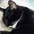 Lyn Hazley's profile image