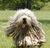 linda b.'s profile image
