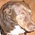 Bill Altvater's profile image