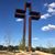 Mary Schultze's profile image