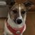 Mary Korth-Lloyd's profile image